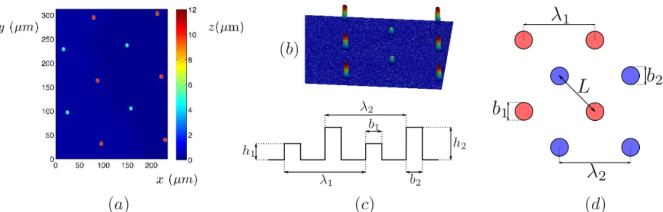 Figure 2.22 – Visualisations par interférométrie d’une surface à réseaux doubles de micropiliers