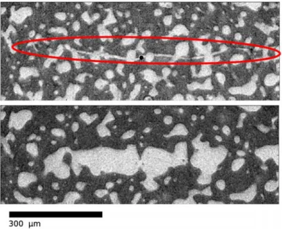 FIGURE 3.11 – Coupe tomographique, juste après une trempe suivie d’une remise à haute tem- tem-pérature, au début de l’expérience vsi02 (haut)