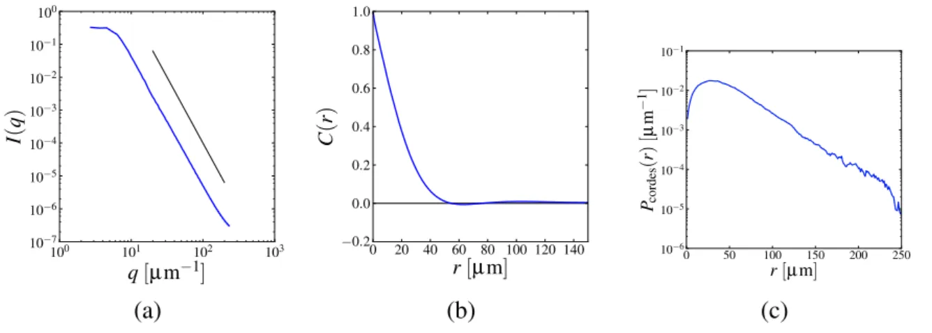 FIGURE 4.5 – (a) Densité spectrale de puissance I(q) (la droite noire indique la loi de Porod en q −4 ), (b) fonction de corrélation spatiale C(r) et (c) distribution de taille de cordes lors de l’expérience vsi10, après 2 minutes à 1330 ◦ C.