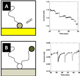 Figure 1.2: Typical expected single nanoparticle electrochemical responses in the case where the particles (A) stick to the electrode and remain active, and (B) eventually deadsorb and lose contact