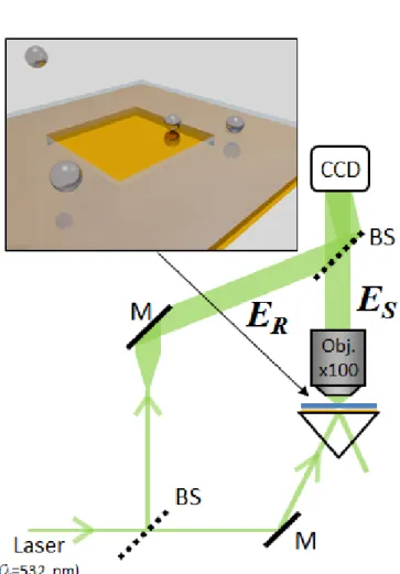 Figure 2.2: Principle of the holography setup used to monitor NPs in a microfluidic cell.