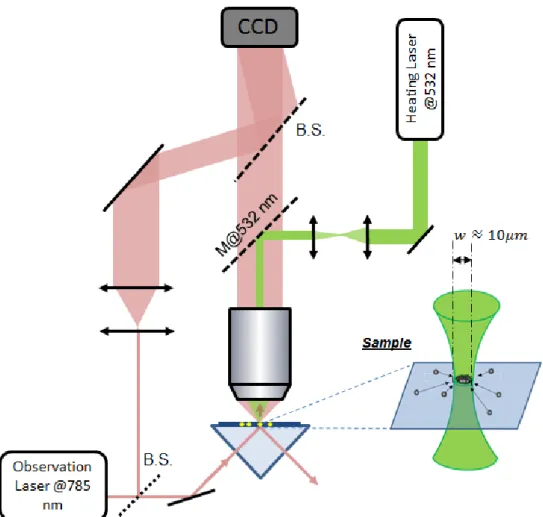 Figure 3.5: Two lasers setup used to independently observe and perturb the nanoparticles motion