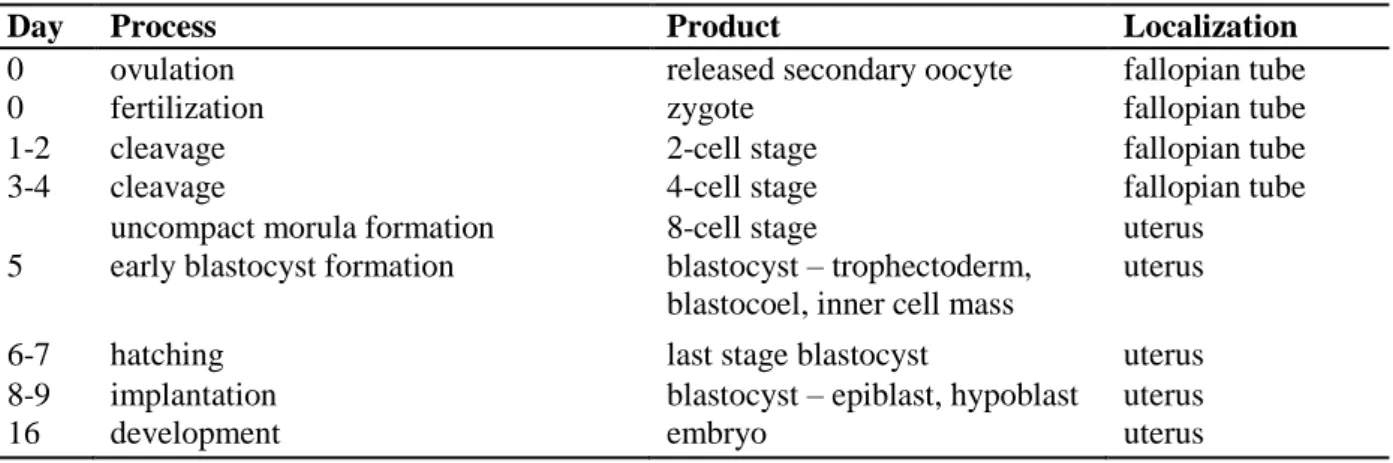 Tab. 4 Embryo development (Vacek, 2006)