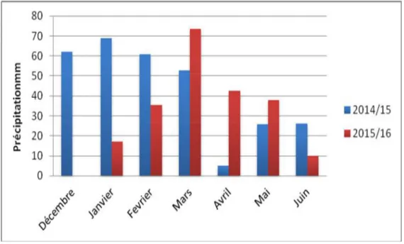 Figure 05 : Pluviométrie mensuelle des campagnes 2014-2016 