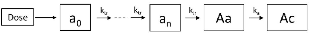 Figure 6. Représentation schématique d’un modèle d’absorption à compartiments de transit