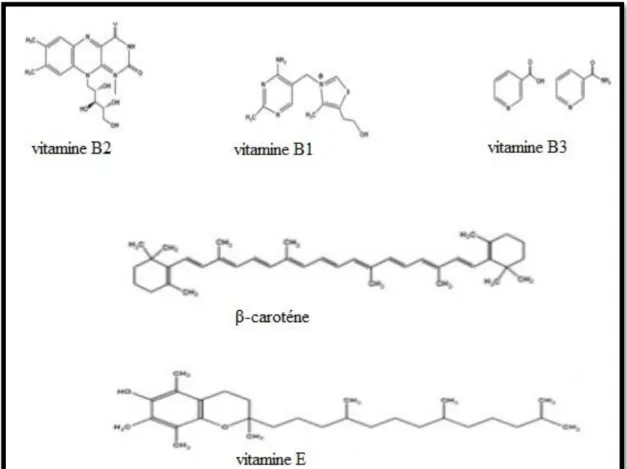 Figure 08 : Structure de quelques vitamines. 