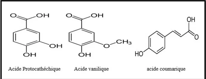 Figure 10 : structure des trois Acides phénoliques majoritaires des aiguilles de P.halepensis