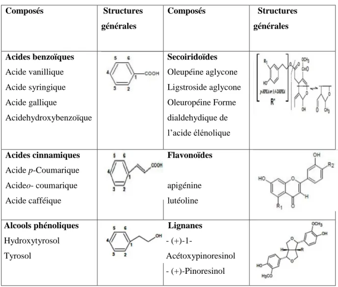 Tableau III: Structures des composés phénoliques identifiés dans l’huile d’olive (Segura-  Carretero et al