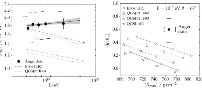 Figure 3.14: Left: Average muon content R µ per shower energy E as a function of E. Square