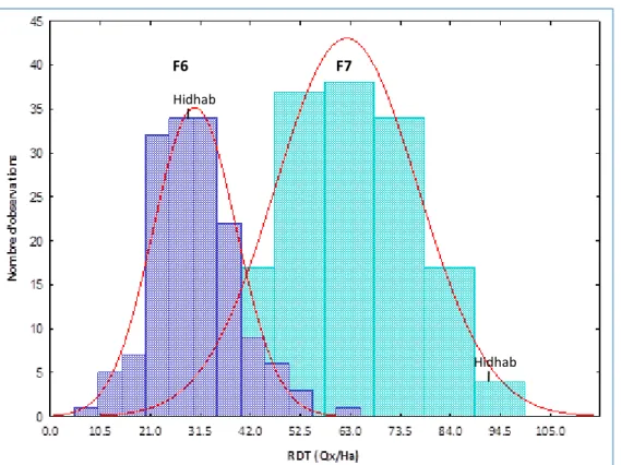 Figure 9 : Distribution fréquentielle du rendement en grains des lignées F6 et leurs dérivées  F7 évaluées