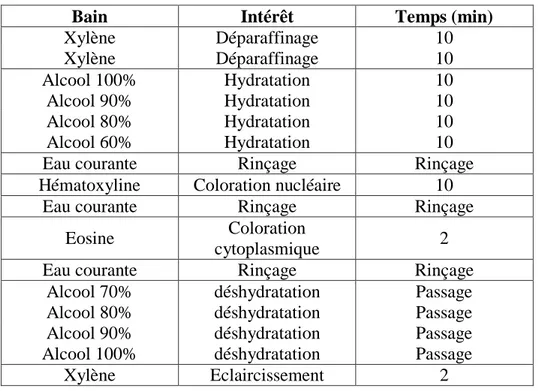 Tableau I : Protocole de coloration à l’hématoxyline éosine 