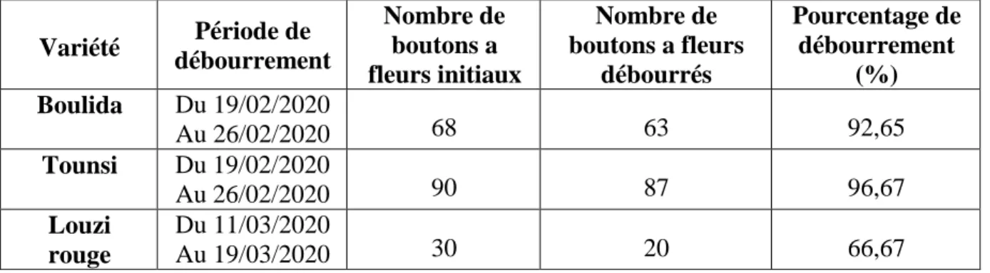 Tableau  10. Période  et  pourcentage  de  débourrement  des  boutons  à  fleurs  des  trois  variétés 