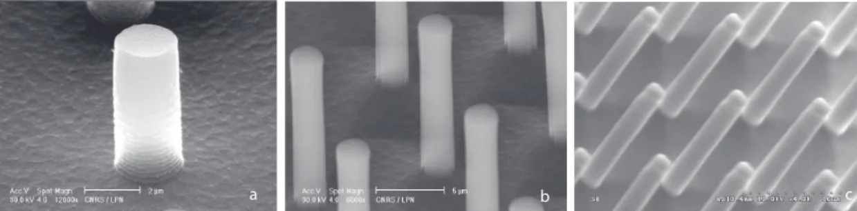 Fig. 2.17: R´epliques de plots de 2 µm de diam`etre et de 6 µm (a), 14 µm (b) et 25 µm (c) de hauteur.