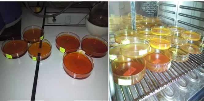 Figure 10 : Evaporation des solvants  