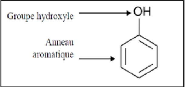 Figure 4 : Structure de base des polyphénols (Manallha, 2012). 