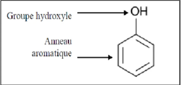 Figure 4 : Structure de base des polyphénols (Manallha, 2012). 