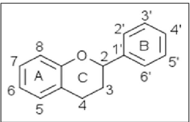 Figure 05: Structure de base des flavonoïdes (Dacosta, 2003). 