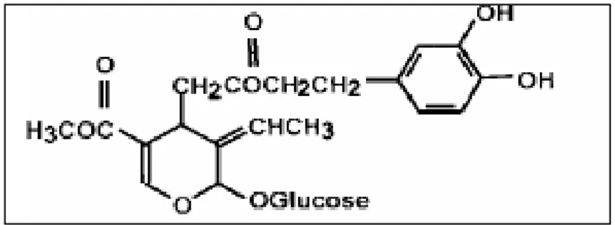 Figure 6: Structures chimiques de L’oleuropéine (Benavente-Garcia O et al., 2000).  3.7