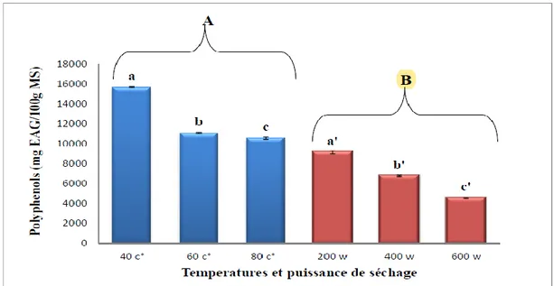Figure 06 : Teneur en composés phénoliques des extraits séchés de Pistacia lentiscus L