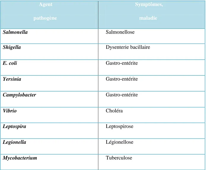 Tableau 4 : Bactéries pathogènes dans les eaux usées (Asano, 1998) ;                              Agent                         pathogène                         Symptômes,                           maladie  Salmonella    Salmonellose 