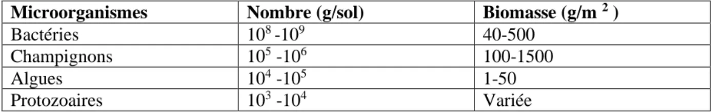 Tableau I : Nombre des microorganismes du sol sur une profondeur de 0 à 15 cm  Microorganismes  Nombre (g/sol)  Biomasse (g/m  2  ) 
