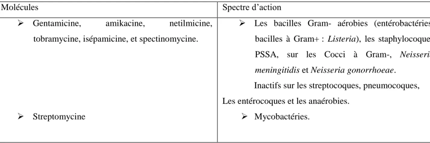 Tableau 5 : les aminosides et leurs spectres d’action (Yala et al., 2001).
