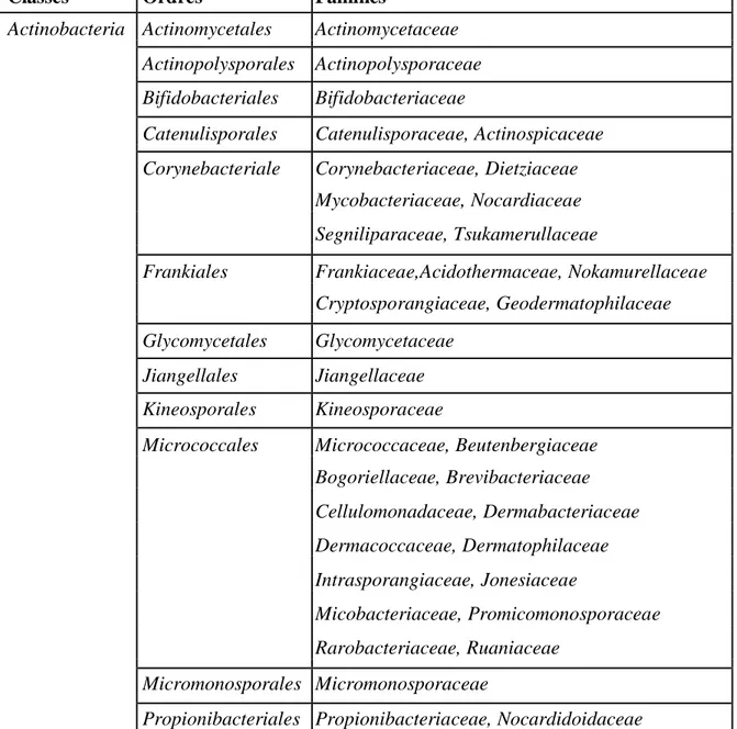 Tableau  I  :  Classes,  ordres  et  familles  du  phylum  des  actinobactéries  (Goodfellow  et  al.,  2012)