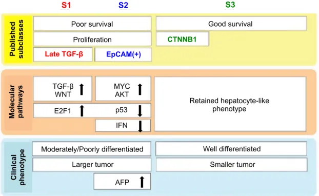 Figure  7. Classification transcriptomique des CHC proposée par l’équipe d’Hoshida. (Hoshida et al., 