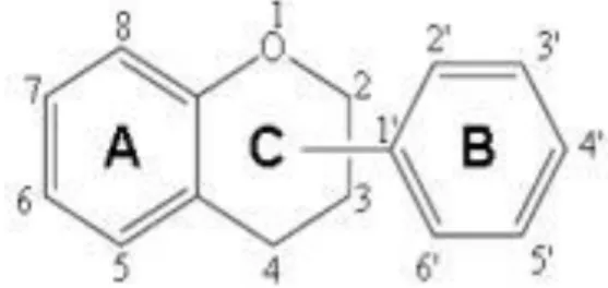 Figure 3 : Structure générale des flavonoïdes  [64] .