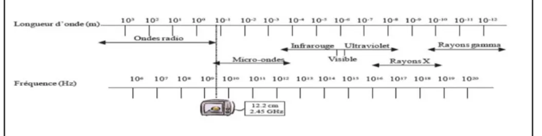Figure 01 : Spectre électromagnétique (Sahin et Sumnu, 2006). 