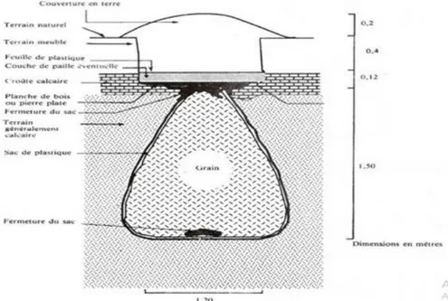 Figure 7 : vue en coupe d'un silo souterrain (matmoura) pour le stockage des céréales  capacité 1.8 m 3  (Bartali, 1989) 