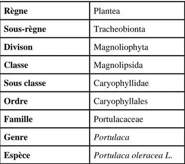 Tableau I. Classification de Portulaca oleracea L.  
