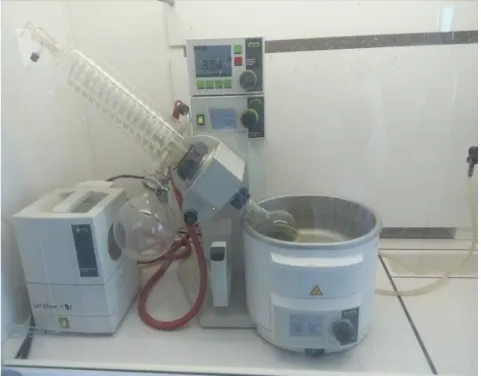 Figure 10. Concentration du  filtrat sous vide au Rotavap (Originale ,2020).  L’extrait est obtenu au fond du ballon sous forme d’extrait sec  