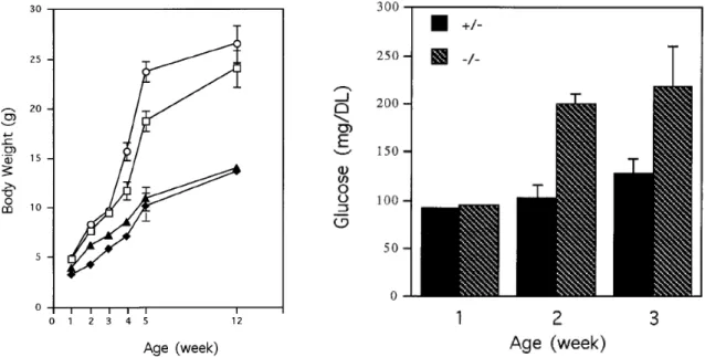 Figure 14 : Défaut de croissance et hyperglycémie chez les souris invalidées pour Hnf1a par le système  Cre/LoxP [73]