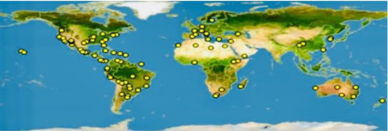 Figure 1 : Distribution géographique du figuier de barbarie dans le monde  I.2 Classification 