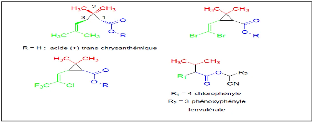 Figure 03: Structure générale des pyréthrinoides (Dion, 2007). 