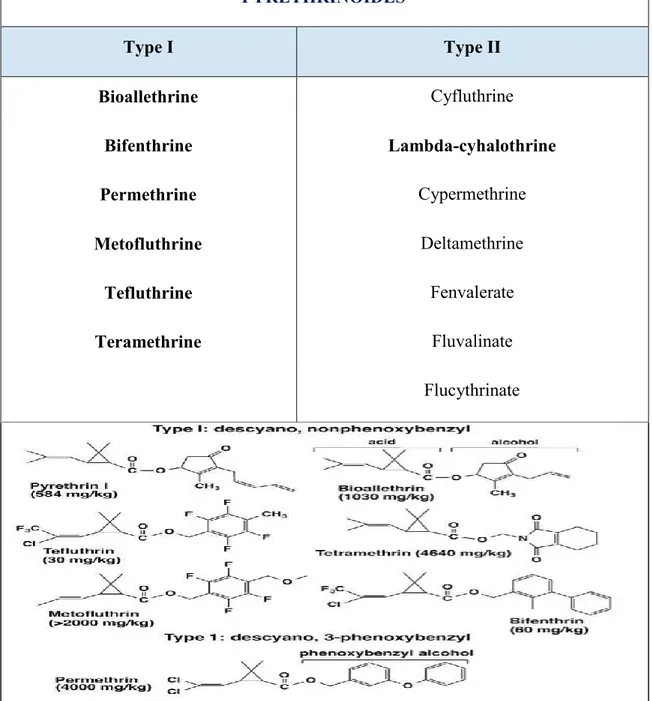 Tableau 02: Classification des pyréthrinoides en type I et type II (Thatheyus et Gnana, 2013)