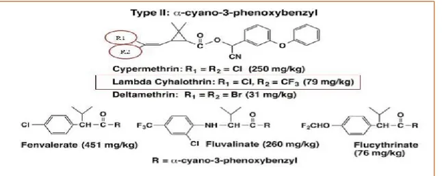 Figure 05: Structure chimique et exemples de pyrethrinoides de type 2 (Bloomquist, 2015)