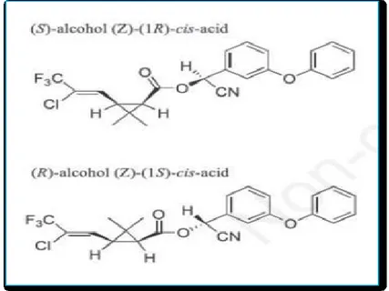 Figure 07: Structure chimique de lambda cyhalothrine (khaldounoularbi, 2014) 