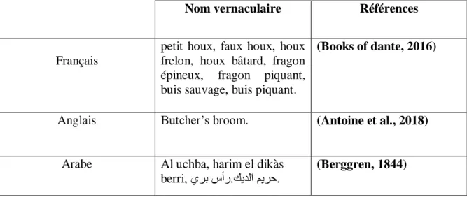 Table III : Noms vernaculaires de Ruscus  Aculeatus. 