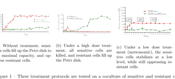 Figure 1 – Three treatment protocols are tested on a coculture of sensitive and resistant cells