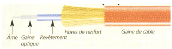 Figure 2.3 – Fibres optiques