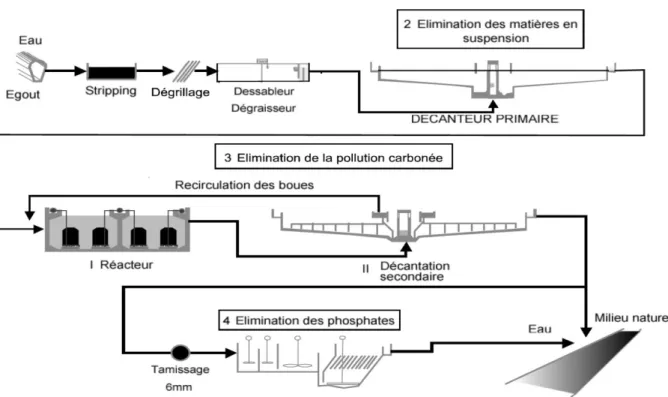Figure 2 : schéma  général d’une station d’épuration.  Source : usine seine amont 2002