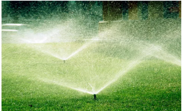 Figure 7 : L’irrigation par aspersion 