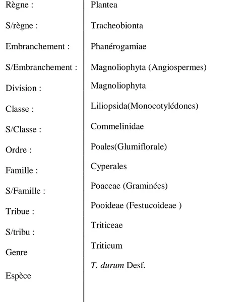 Tableau II : Classification botanique du blé (APG III, 2009). 