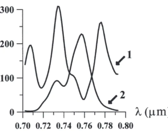 Figure 3.15 – Spectre de champ proche calculé en 2 points différents d’un film semi-continu d’or au seuil de percolation (image tirée de Grésillon et al