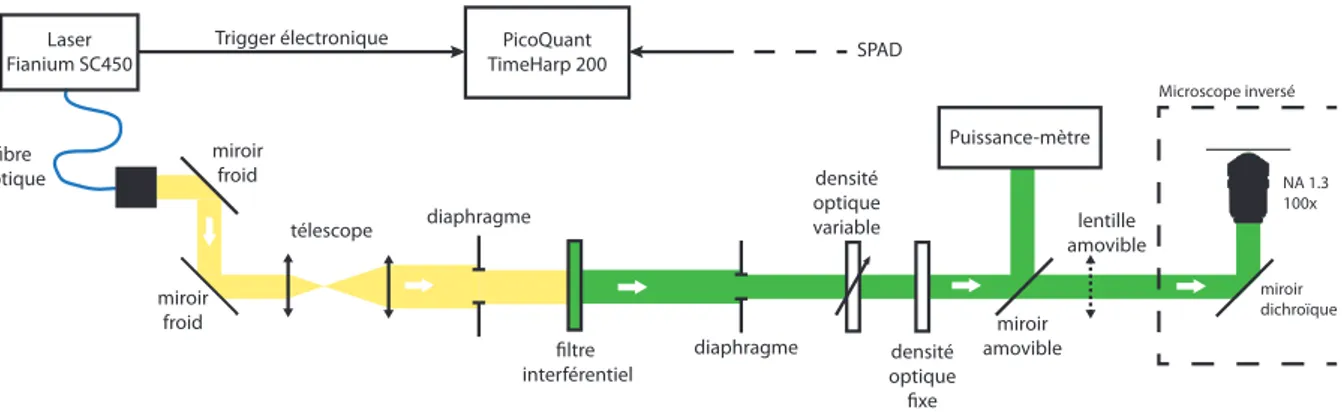 Figure 3.17 – Schéma de la partie d’excitation optique du montage de mesure de temps de vie de fluorescence.