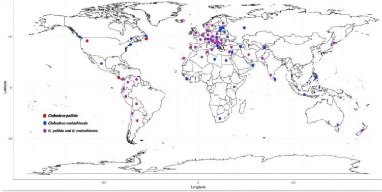 Figure 7 : Répartition géographique des Globodera dans le monde (CABO/EPPO 2018). 
