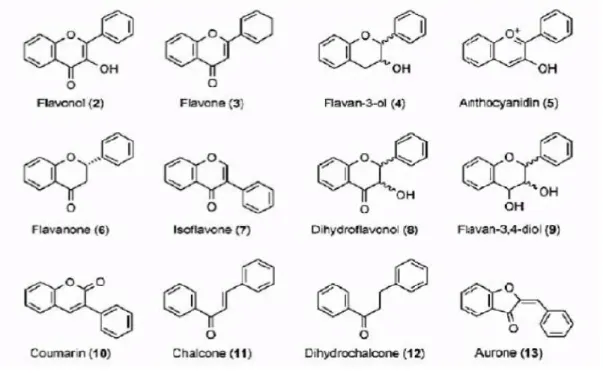 Figure 03: Les structures chimiques des sous II.2.2.4.  Propriétés biologiques