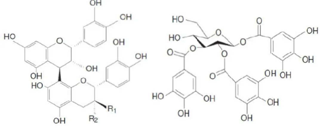 Figure 06: Structures chimiques t II.2.5.4.  Propriétés biologiques